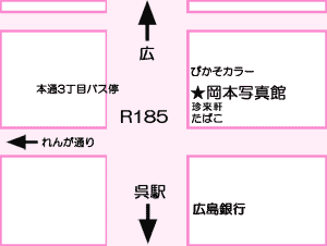 ���{�ʐ^�ْn�}