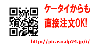 �P�[�^�C�v�����g